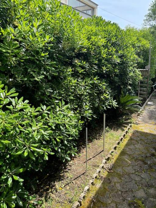 Con Giardino Holiday home